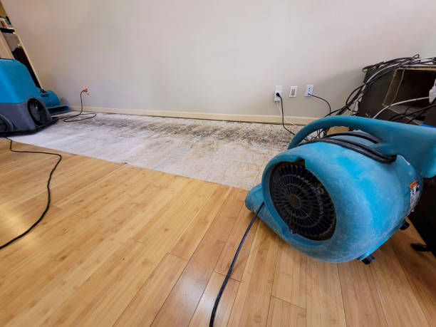 Professional Flood Damage Cleanup technician working in Winnie, TX
